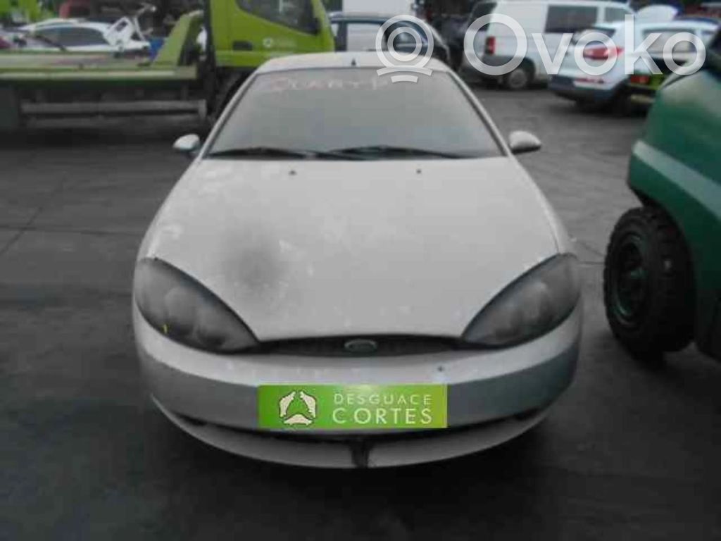 Cougar Cougar  1358955