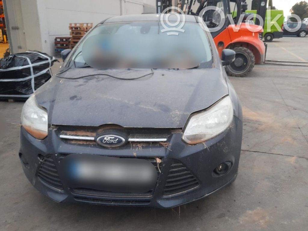 Focus Focus  1769301