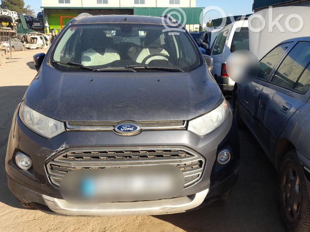 Ecosport Ecosport  1909418