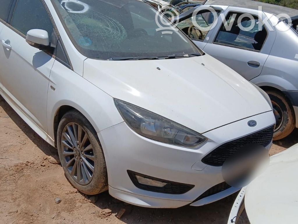 Focus Focus  2063541