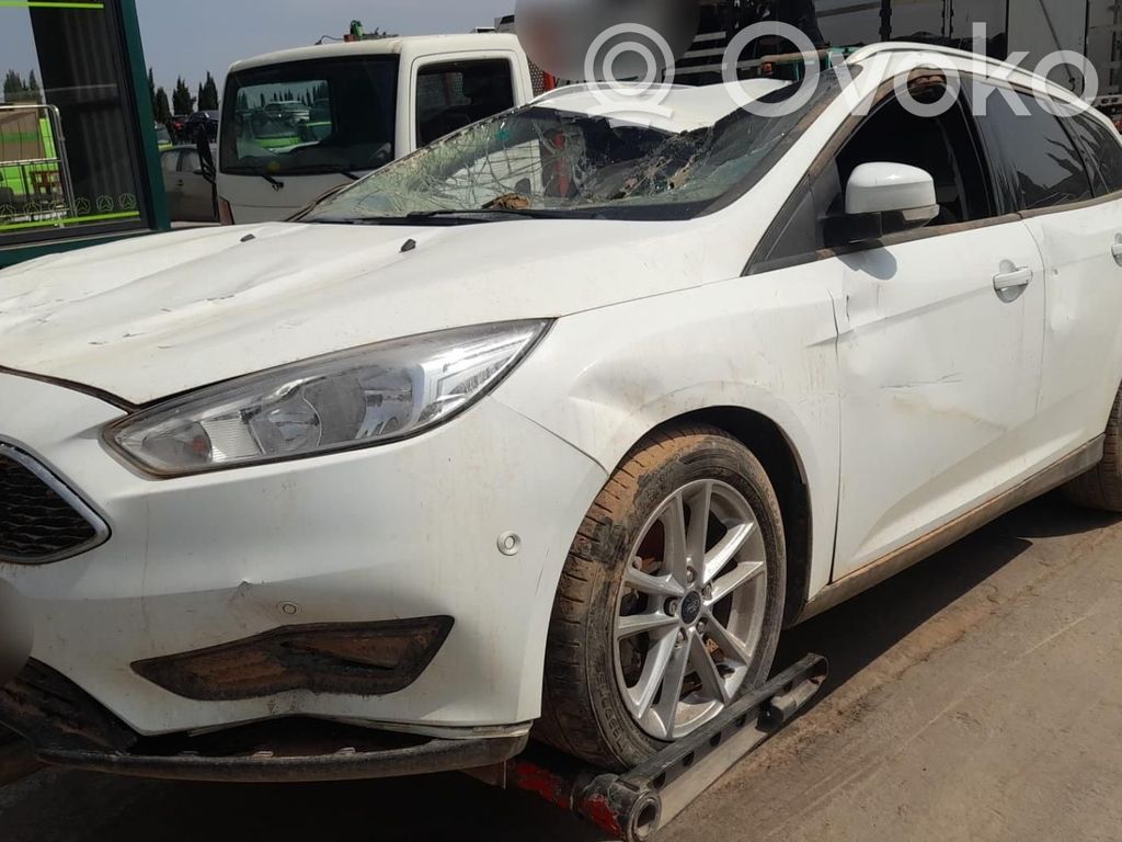 Focus Focus  1834446