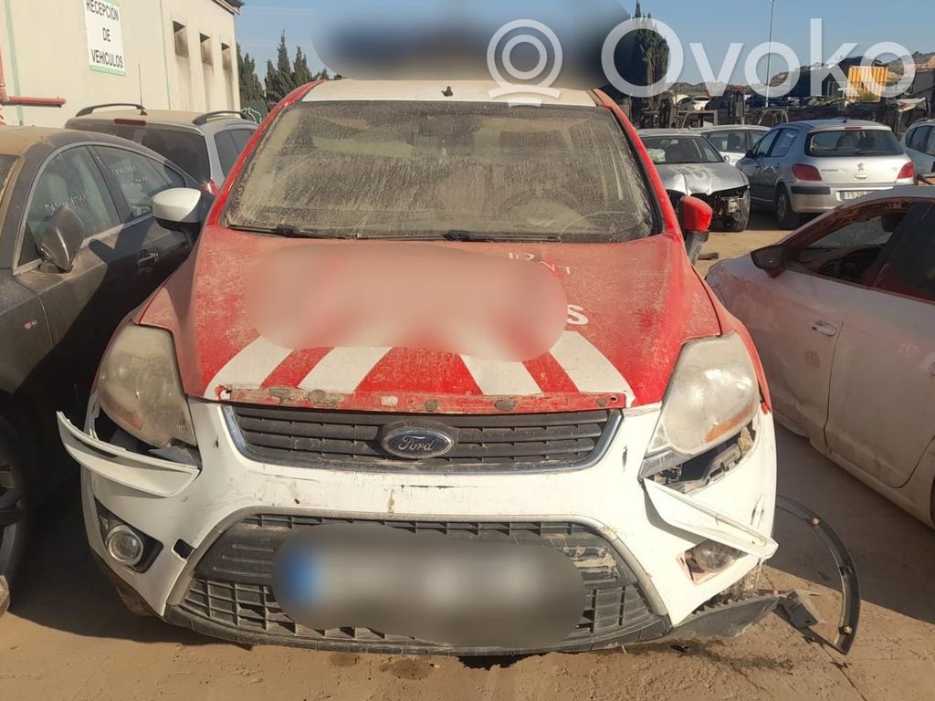 Kuga I Kuga  1721597