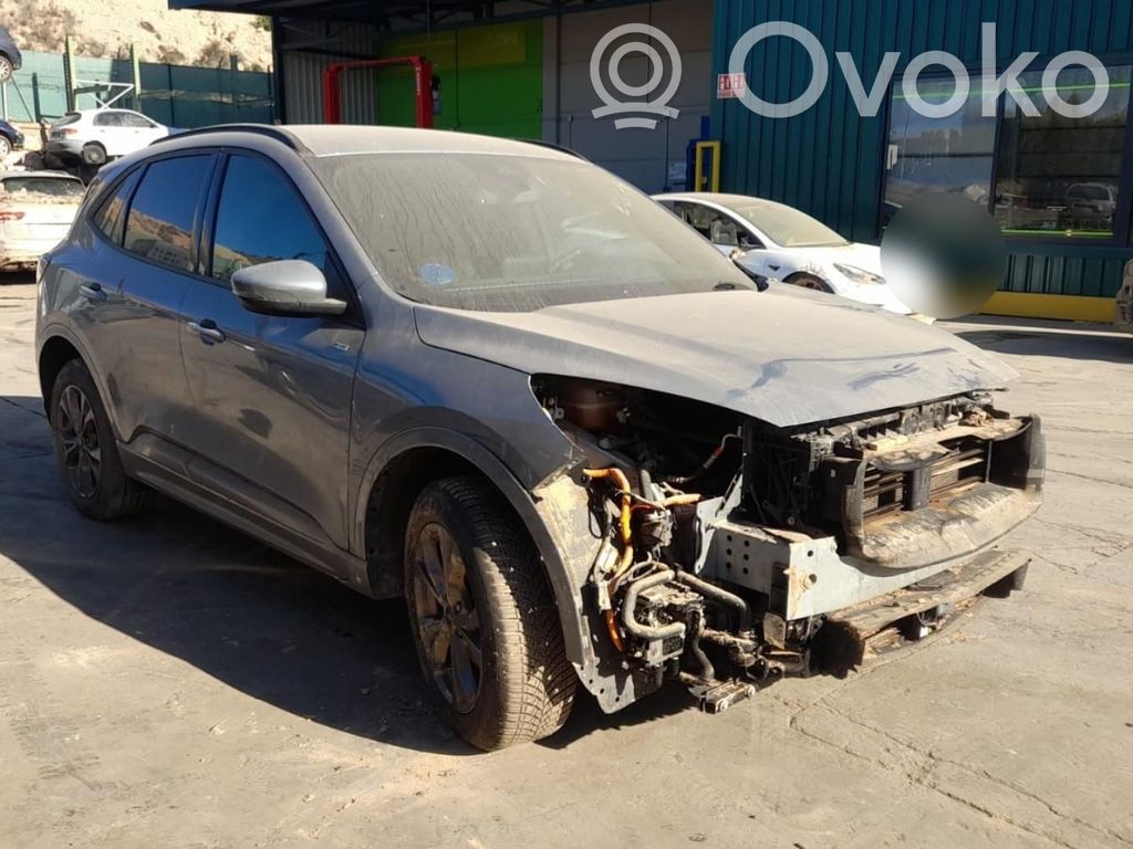 Kuga II Kuga  2830897