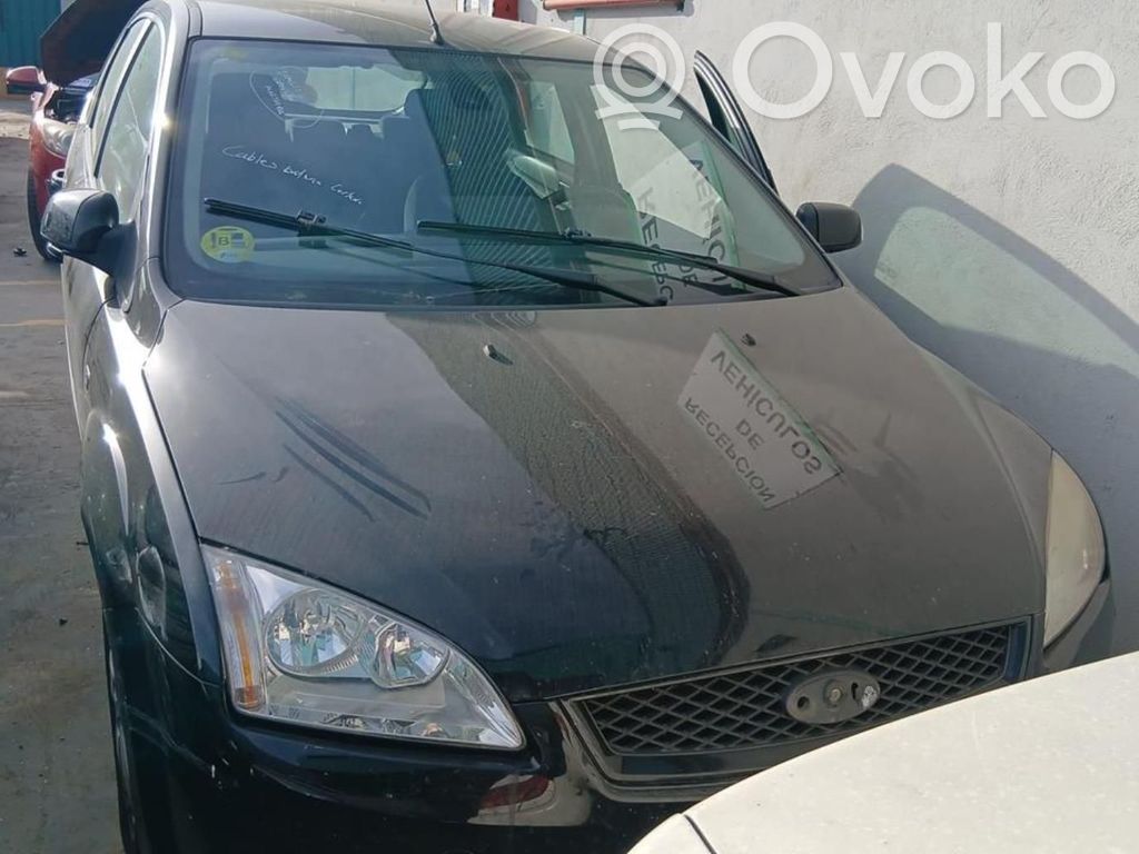 Focus Focus  4895286