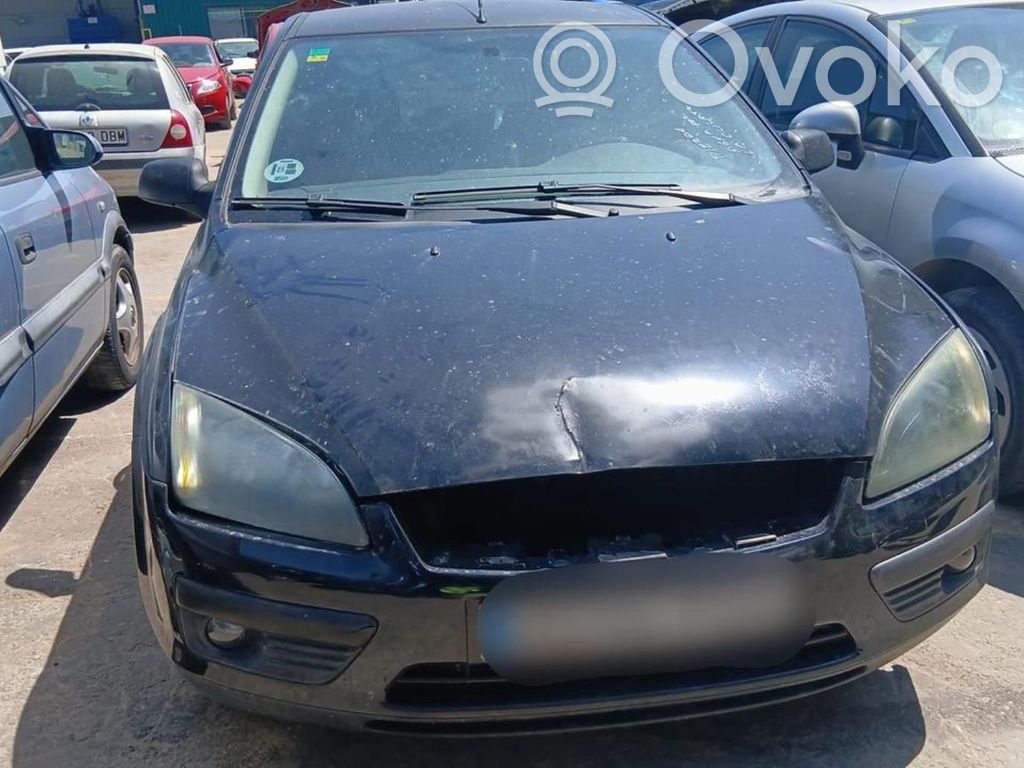 Focus Focus  1451741