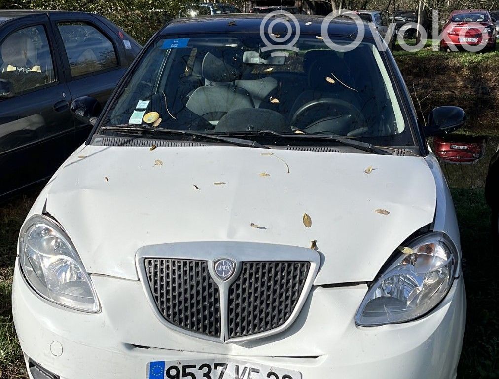 Ypsilon Ypsilon  735352911