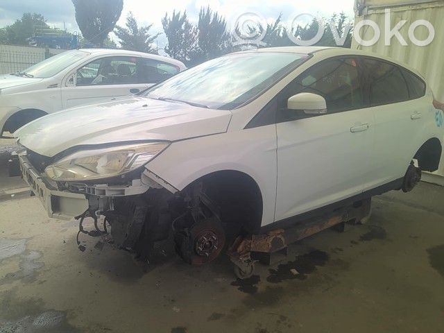 Focus Focus  2171302