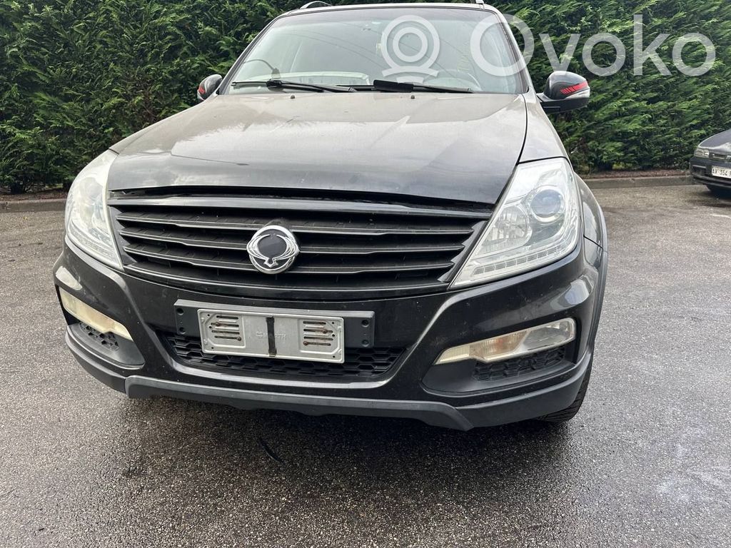 Rexton Rexton  201511200140