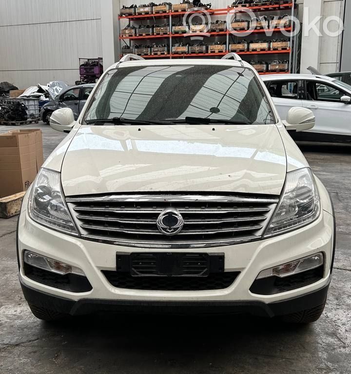 Rexton Rexton