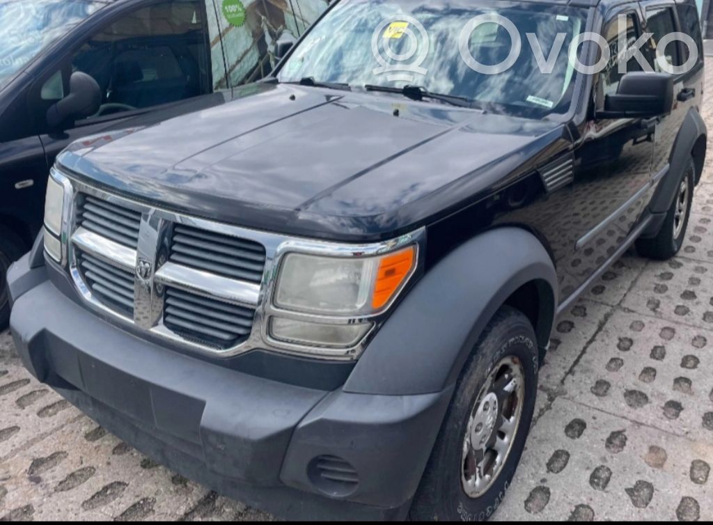 Nitro Nitro  P52125441AE