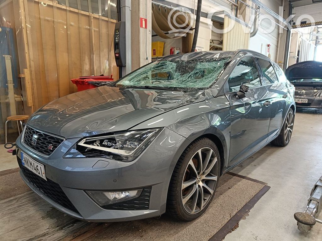 Leon (5F) Leon  5F0941475