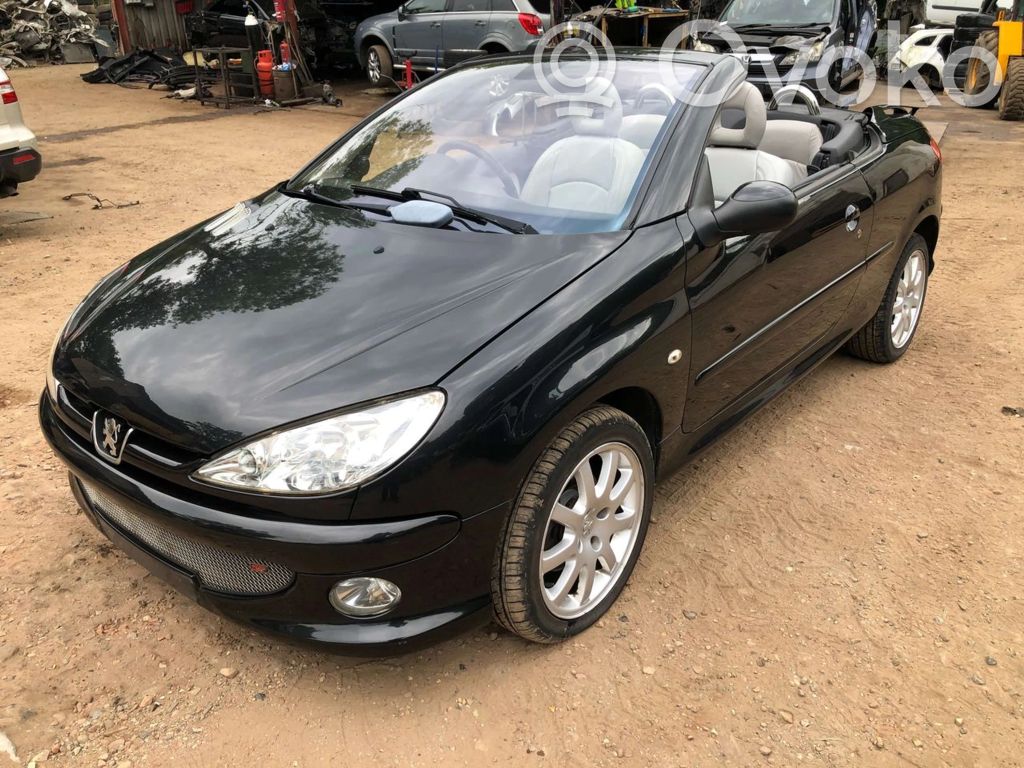 206 206, 206+  0655009970