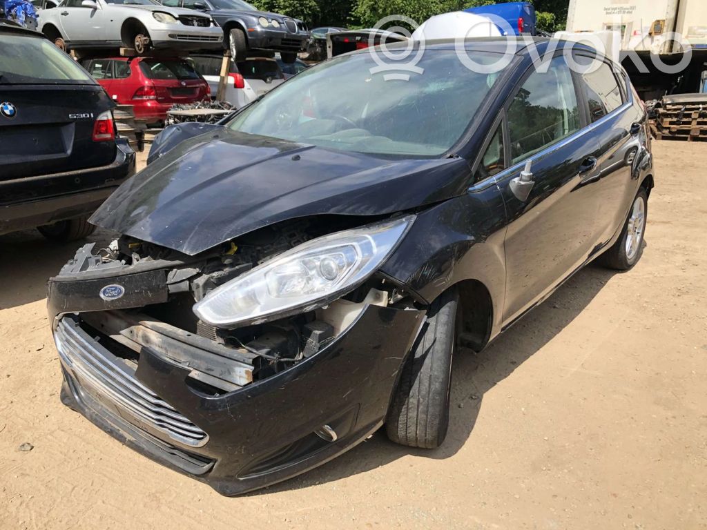 Fiesta Fiesta  CA6G9424CC