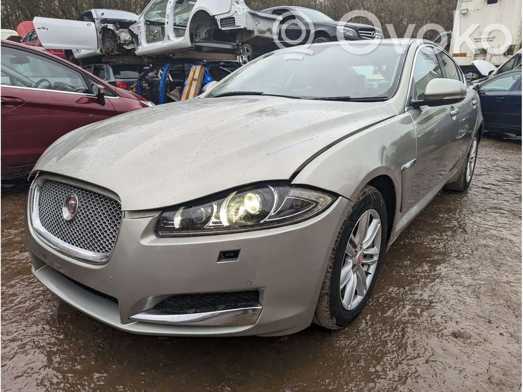 XF XF  CX239D375BA