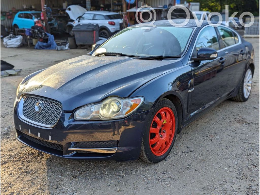 XF XF