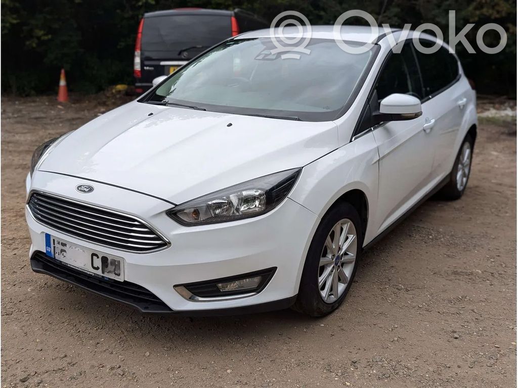 Focus Focus  E3BG6675