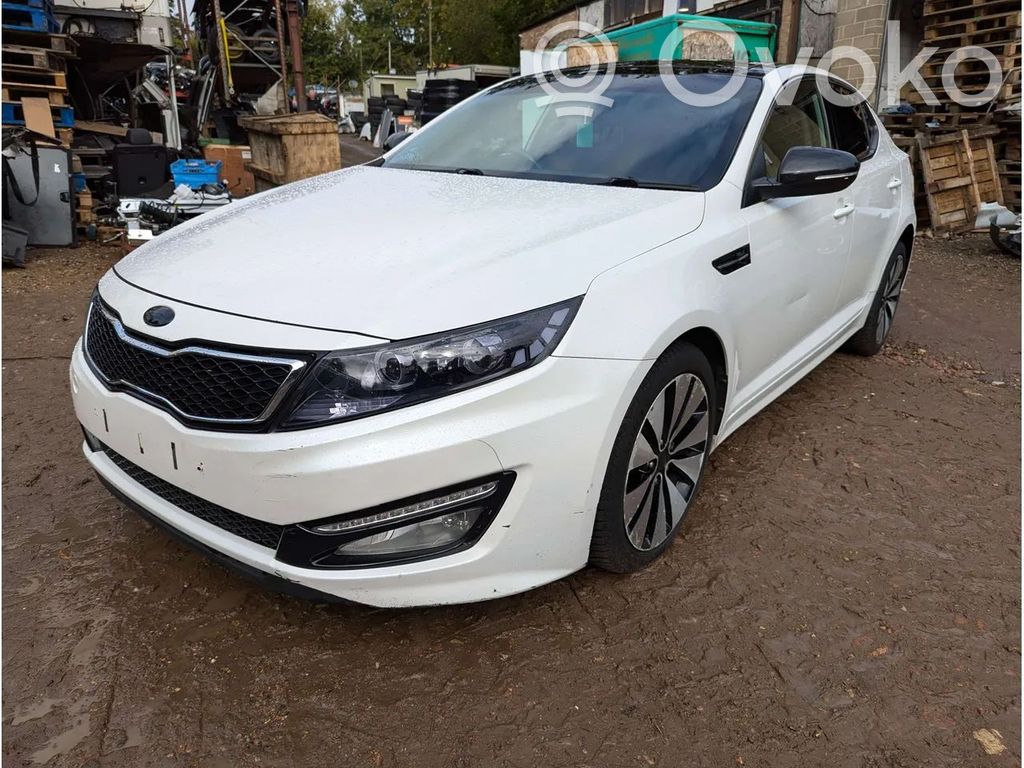 Optima Optima  589202T520
