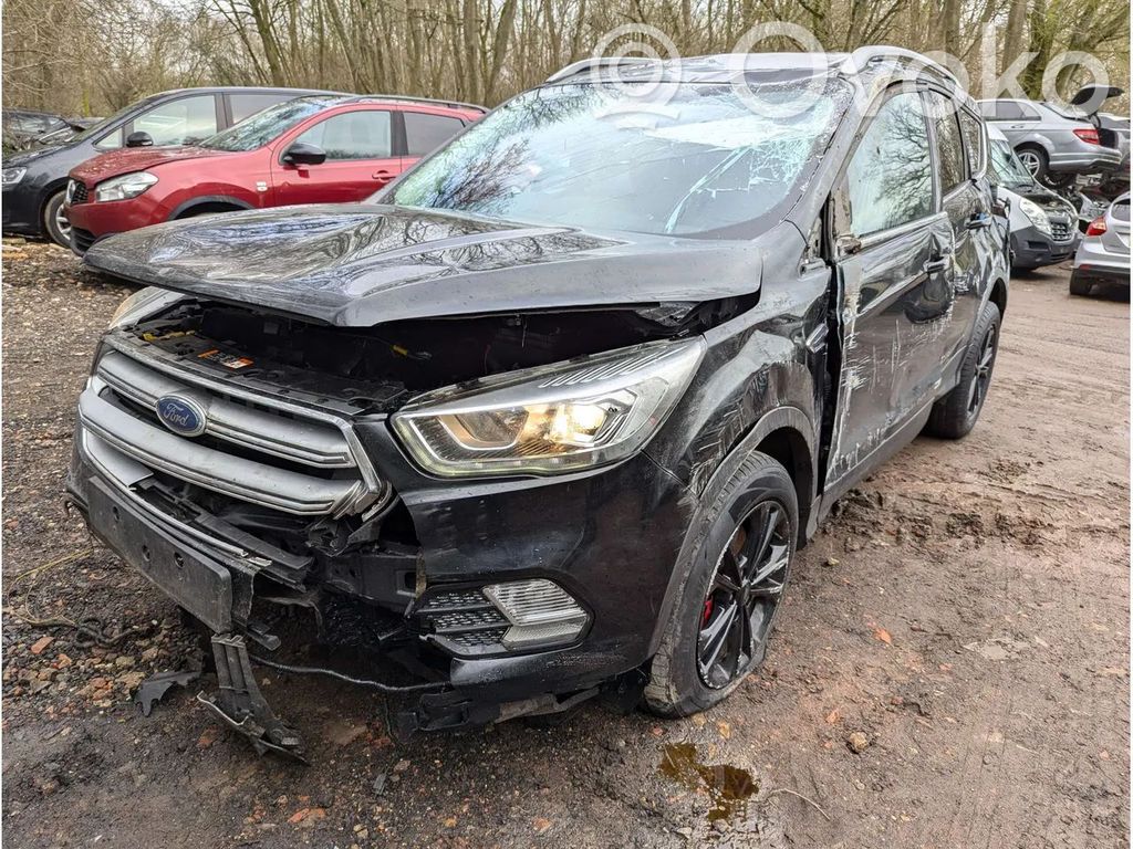 Kuga II Kuga