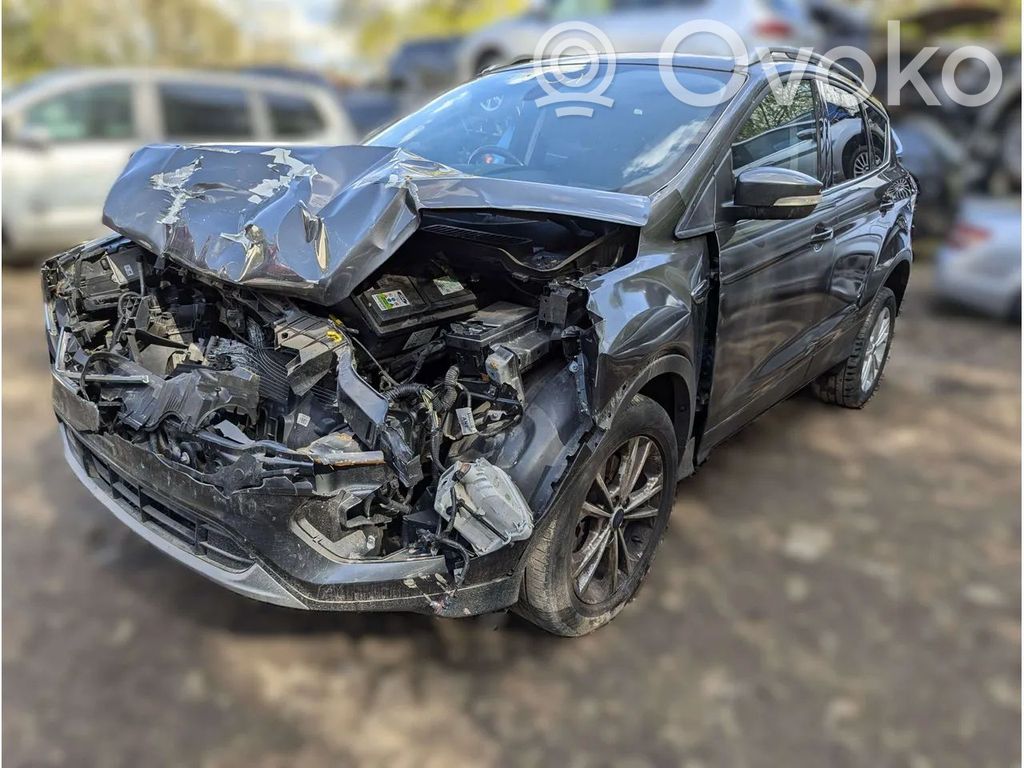 Kuga II Kuga  9811207180