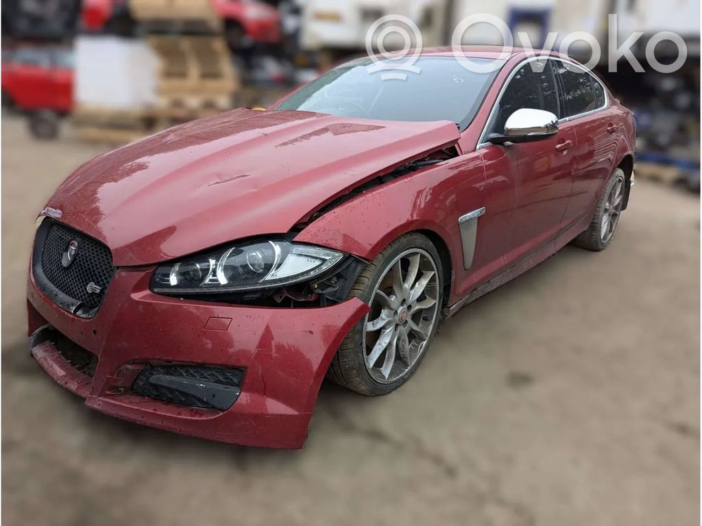 XF XF