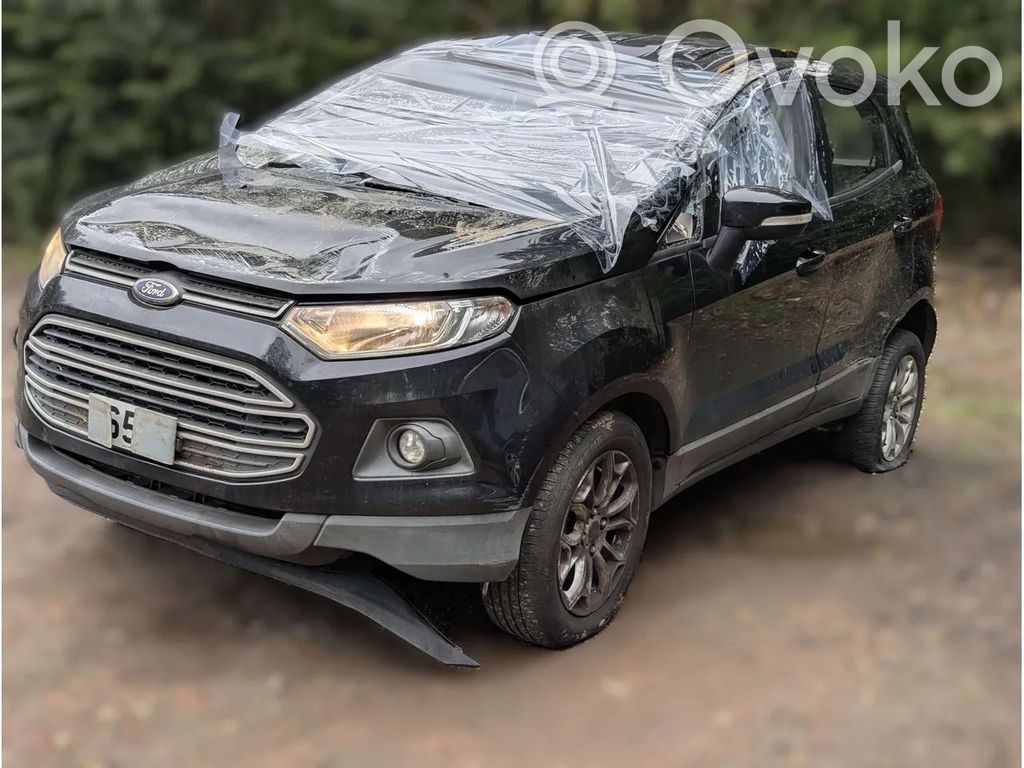 Ecosport Ecosport  DN1T14B321ED