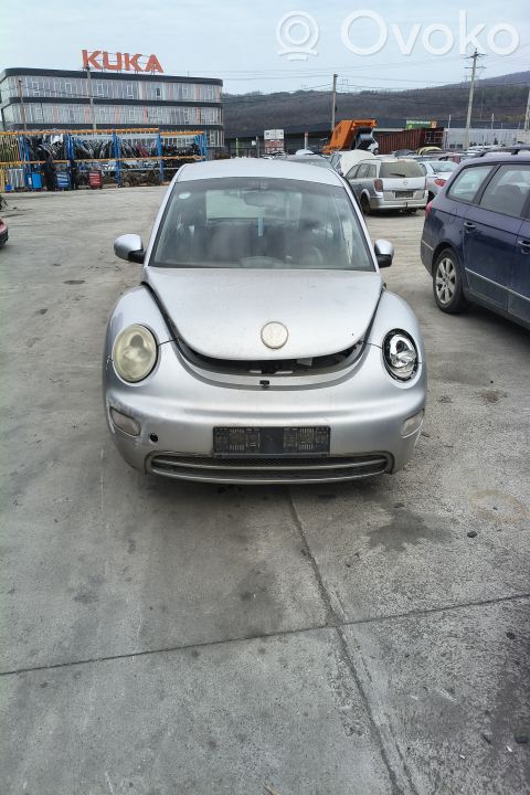 New Beetle Beetle