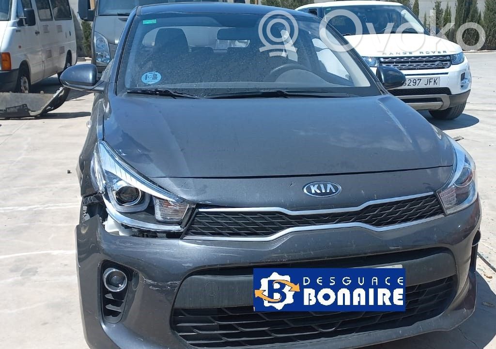 Rio Rio  3912804041