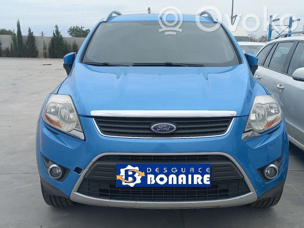 Kuga I Kuga  10170106493