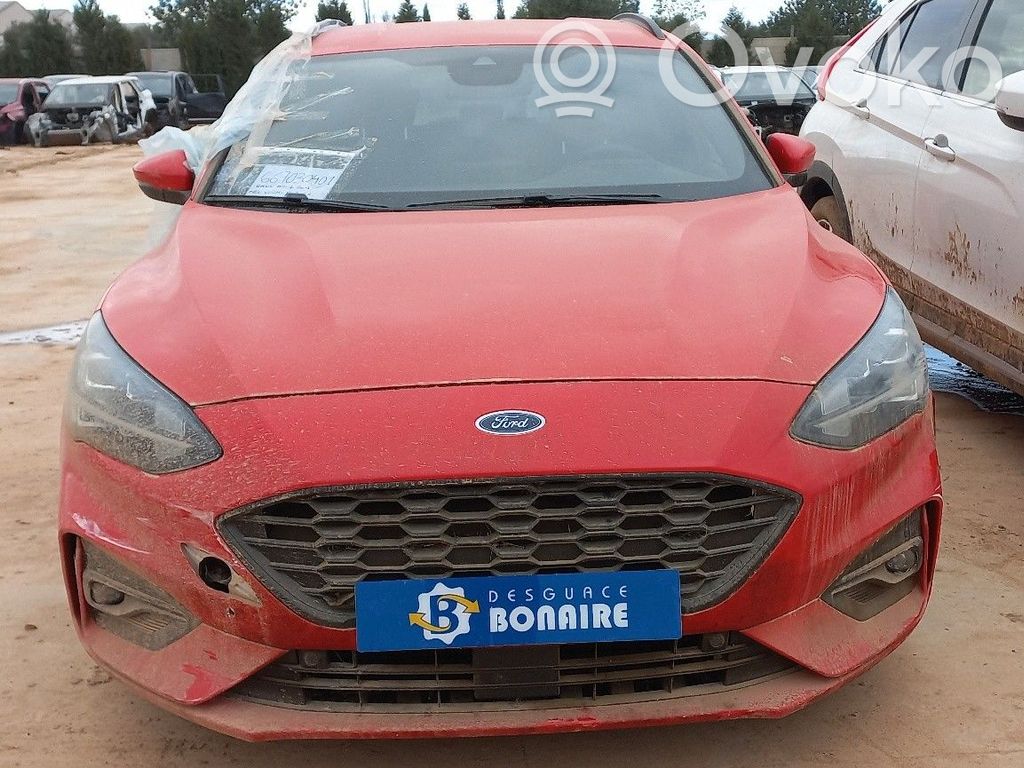 Focus Focus  2430832