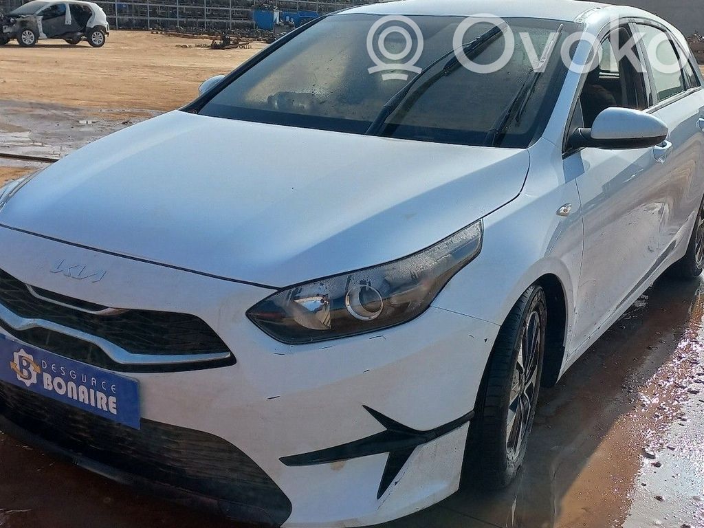 Ceed Ceed, Ceed SW, Pro Ceed  76AU507F01