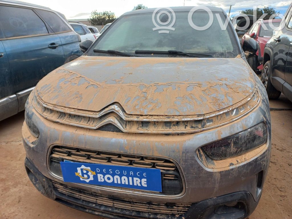 C4 Cactus C4 Picasso, Grand Picasso, Aircross, Cactus  1635037680