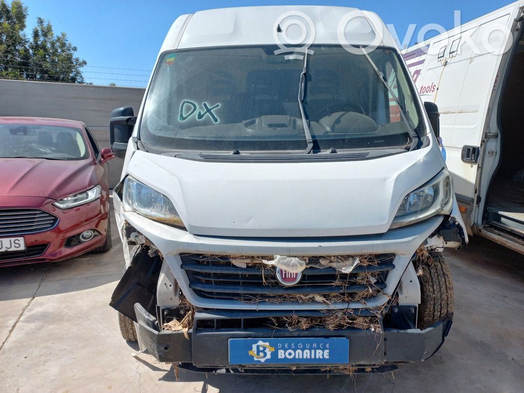 Ducato Ducato  55261982