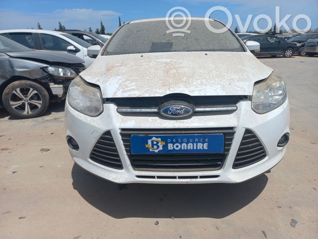 Focus Focus  2139809