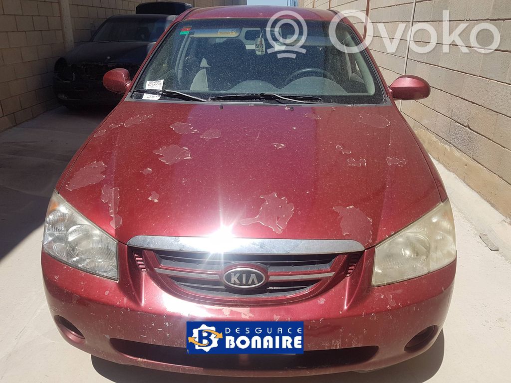 Cerato Cerato  3912026760