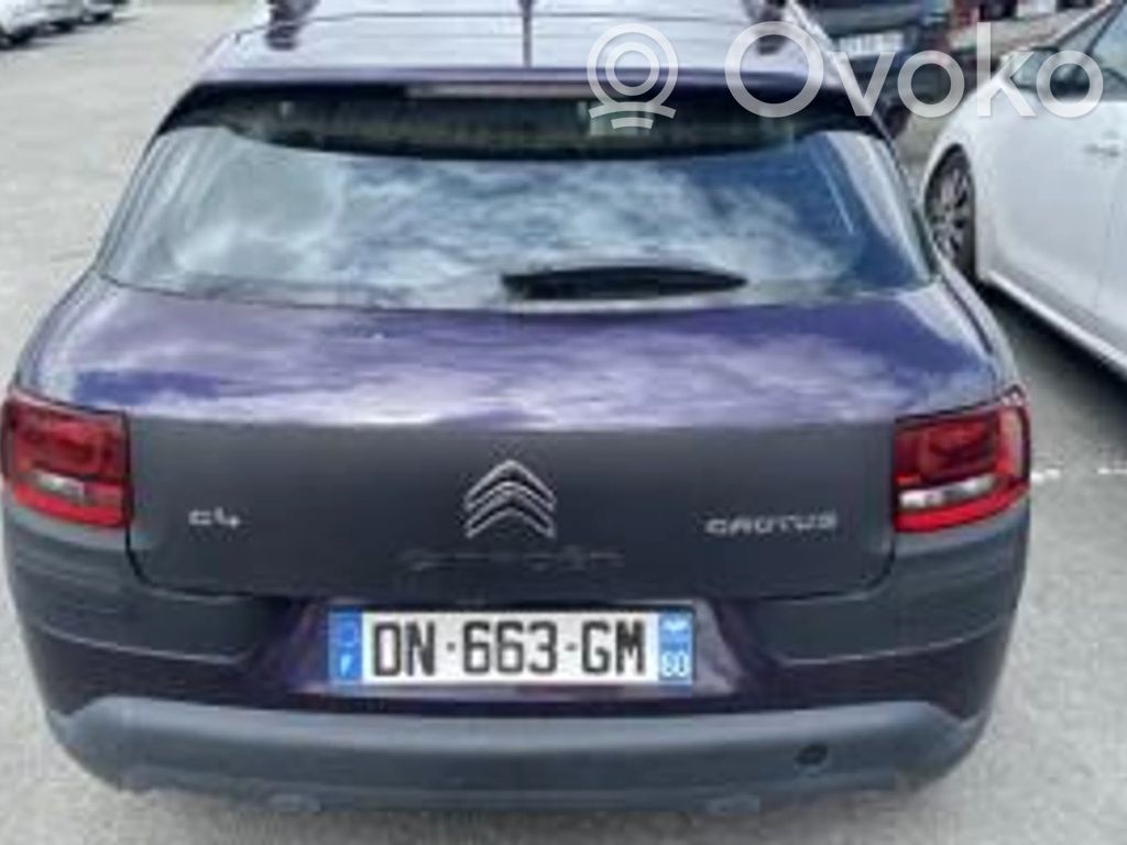 C4 Cactus C4 Picasso, Grand Picasso, Aircross, Cactus  1619251280