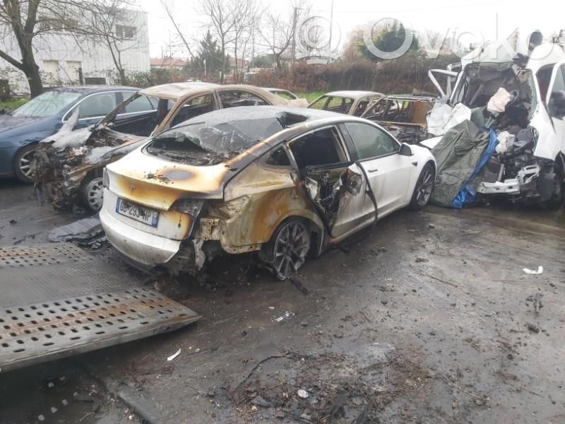 Model 3 Tesla Model 3  109531400C