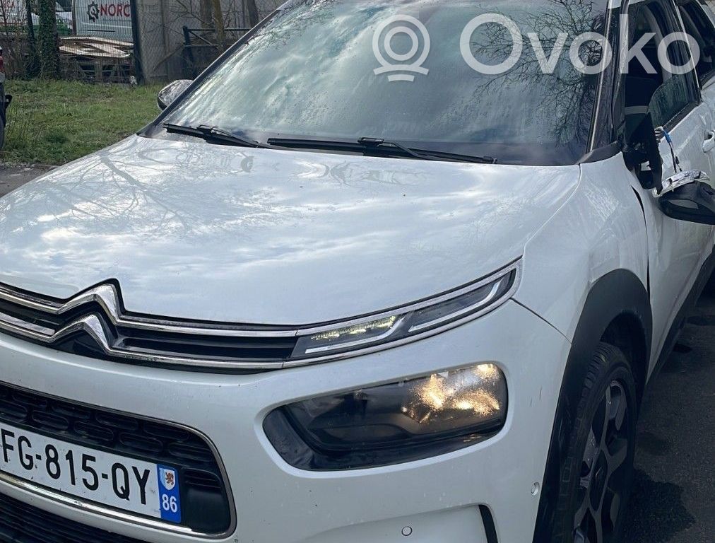 C4 Cactus C4 Picasso, Grand Picasso, Aircross, Cactus  1671206980