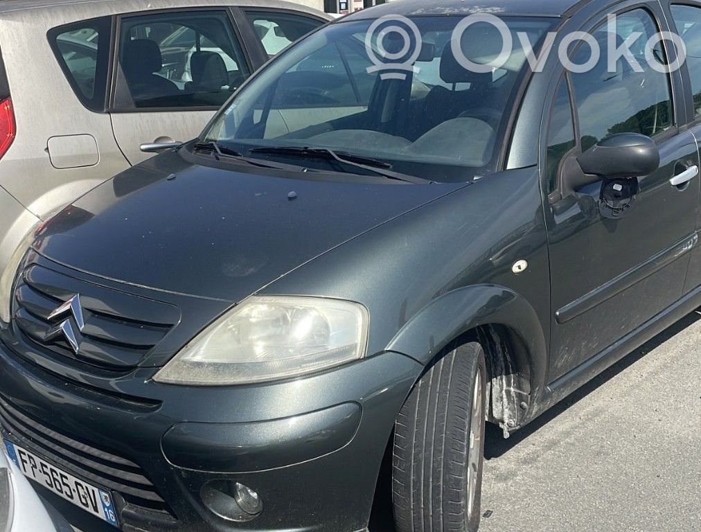 C3 C3, Pluriel, Picasso  00006552ZG