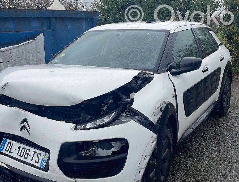 C4 Cactus C4 Picasso, Grand Picasso, Aircross, Cactus  1612542280