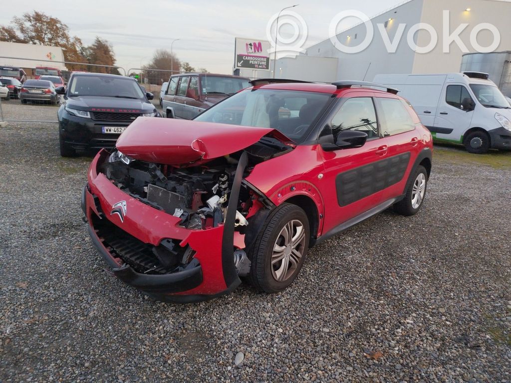 C4 Cactus C4 Picasso, Grand Picasso, Aircross, Cactus  9801012880