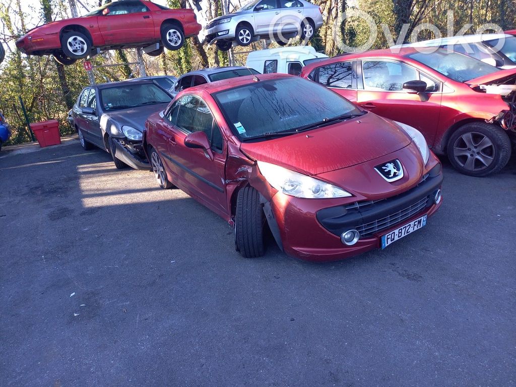 207 207  1610562080