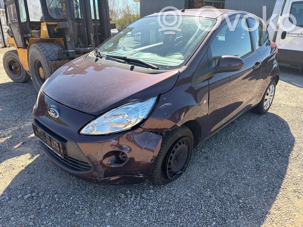Ka Ka  2019565