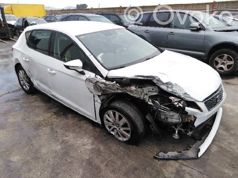 Leon (5F) Leon  08435006
