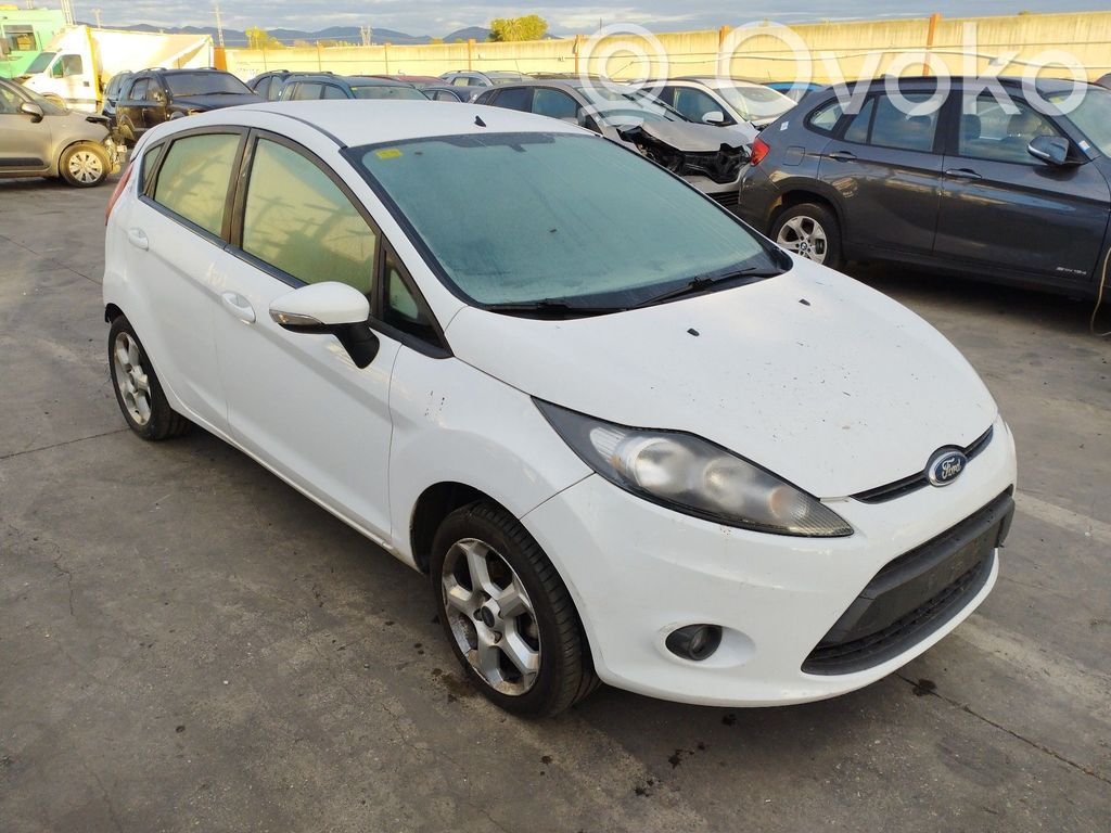 Fiesta Fiesta  62149001