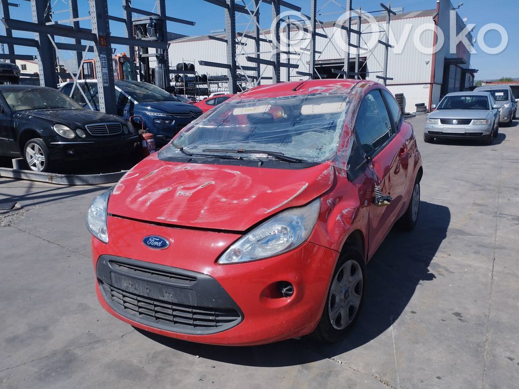 Ka Ka  51859041