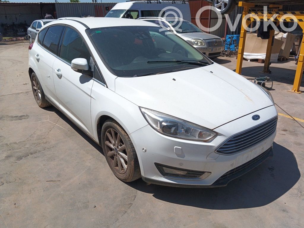 Focus Focus  2286711