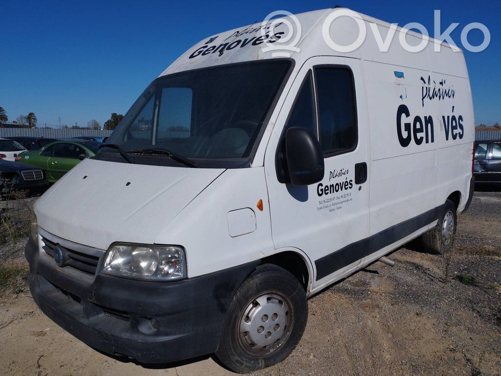 Ducato Ducato  1338298080