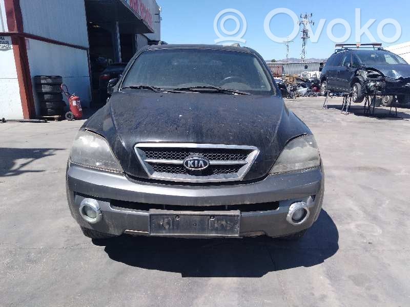 Sorento Sorento  491003E300