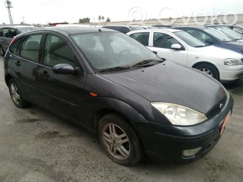 Focus Focus  1307950