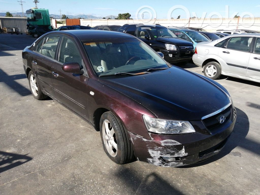 Sonata Sonata  934803K500